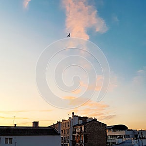 Evening sky on the Parisians Bulidings, Paris, France