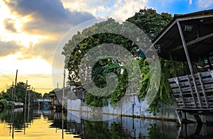 Evening sky and rural atmosphere at Khlong Bang Ramat,a canal in Thonburi side of Bangkok