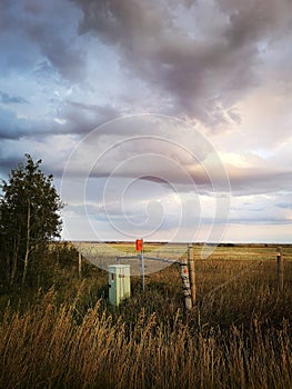 Evening Storm