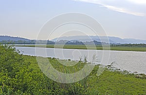 Evening on a Subtropical Wetland