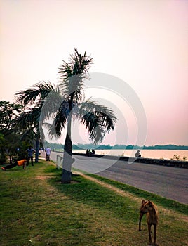 Evening at Sukhna lake Chandigarh India.