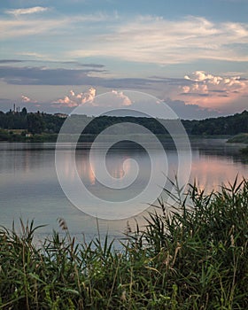 Evening summer on the lake with green reeds in the foreground. Sunset with blue and pink cumulus clouds and blue sky