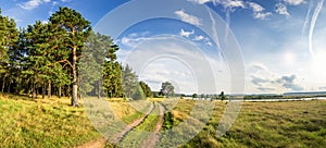 Evening summer landscape with lush pine tree on the banks of river and dirt road, Russia, Ural