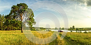 Evening summer landscape with lush pine tree on the banks of river and dirt road, Russia, Ural