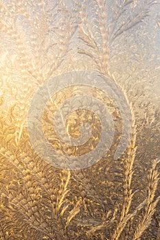Evening sun and bright blue sky through the frost pattern on the window. Ice pattern and sunlight on winter glass
