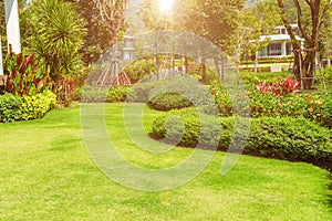 The evening sun shines into the front yard. Green lawn. Backyard for background. Landscaped garden. Garden in morning light with f