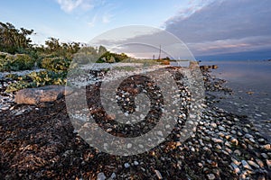 Evening sunlight on coast, pink clouds, blue sky reflection on water. Beach in summer. Seaside natural environment.