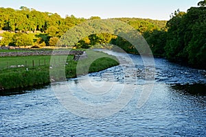 Evening Sunlight over the River Wharfe, Conistone, Wharfedale, Yorkshire Dales, England, UK