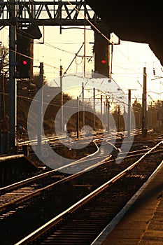 Evening sunlight reflecting off railway tracks