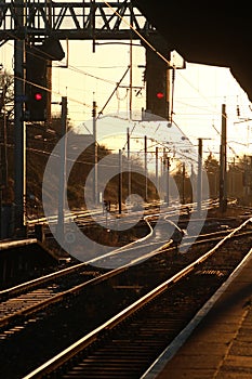 Evening sunlight reflecting off railway tracks photo
