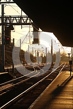 Evening sunlight reflecting off railway tracks photo
