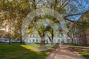 Evening sunrays through leaves in Vilnius