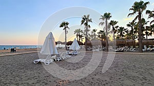 Evening sunset beach resort  scene with palm trees
