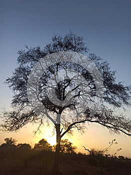 Evening sunshine at rajsthan in summer vacations