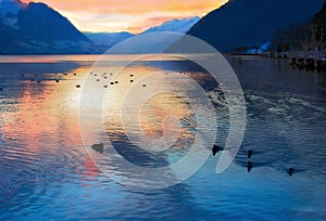 Evening on swiss lake, Switzerland