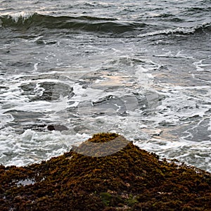 Evening in Tanha Lot, Bali Indonesia, Beautiful Tanha lot beach view in the evening at Bali