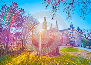 The evening time in park on Rathausplatz in Vienna, Austria photo