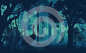 Evening tropical rainforest Jungle background with lyreburd, cockatoo, bat, parrot, Echidna, kookaburra, iguana and cassowary