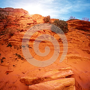 Evening in Valley of Fire