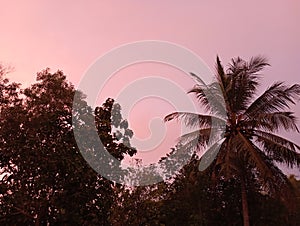 evening view around the countryside of manyaran sub-district, Indonesia