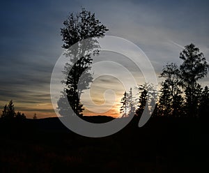 Evening view of the countryside in South Bohemia