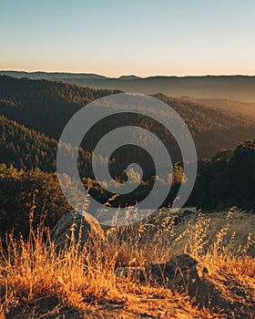 Evening view from the Hickory Oaks Trail in Los Gatos, California