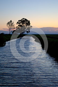 Evening view of the irrigation canal and the tree on its shore against the backdrop of a beautiful summer sunset.