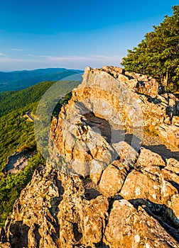 Evening view from Little Stony Man Cliffs in Shenandoah National