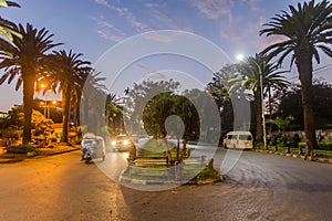 Evening view of a palm lined avenue in Bahir Dar, Ethiop
