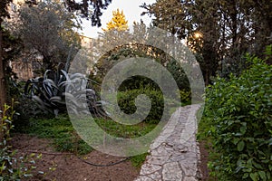 Evening  view of public city park with green vegetation a quiet residential Sokolov Street in the old district of Jerusalem Talbia