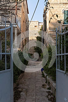 Evening  view of the quiet, green Hovevei Tsiyon Street in the old Jerusalem district Talbia - Komiyum in Jerusalem, Israel