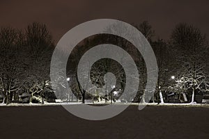 Evening view of the snowy park