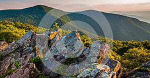 Evening view toward Hawksbill Summit from Betty's Rock, in Shenandoah National Park