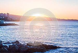 Evening view of Valparaiso Bay, in Vina del Mar, Chile