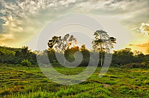 Evening Villager View, Sunset, Grass Field