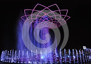 Evening water show arond the Tree of Life