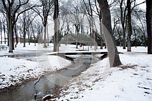 Evening winter park landscape snowy wonderland trees forest and creek with bridge