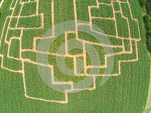 Event maze in the cornfield in Brno-Komin from above, Czech Republic