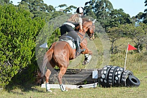 Eventing Equestrian in the country photo