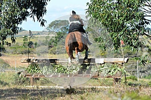 Eventing equestrian jumping skiramp