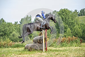 Eventing: equestrian rider jumping over an a brance fence obstacle