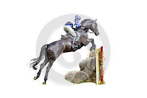 Eventing: equestrian rider jumping over an a brush fence obstacle