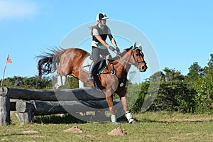 Eventing horse jumping over logs