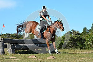 Eventing horse jumping over logs photo