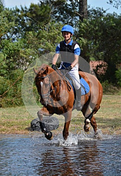 Eventing horse through water complex