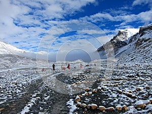 Everest Base Camp in Tibet