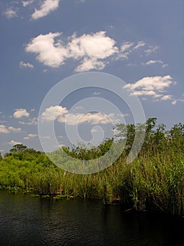 Everglades