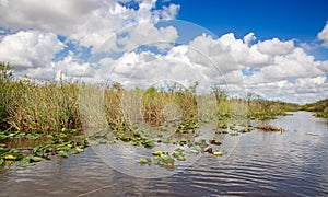 Everglades