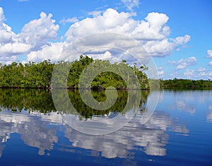 Everglades back country