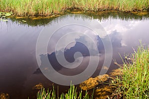 Everglades Canal Landscape